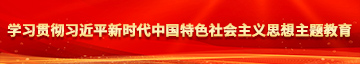 操美女嫩穴午夜高清学习贯彻习近平新时代中国特色社会主义思想主题教育